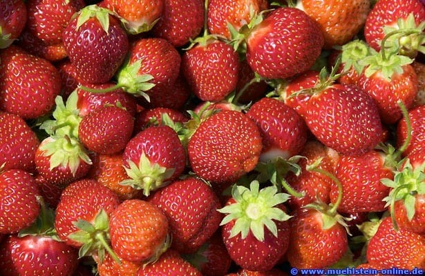 Erdbeeren