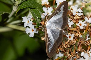 V6B3497
