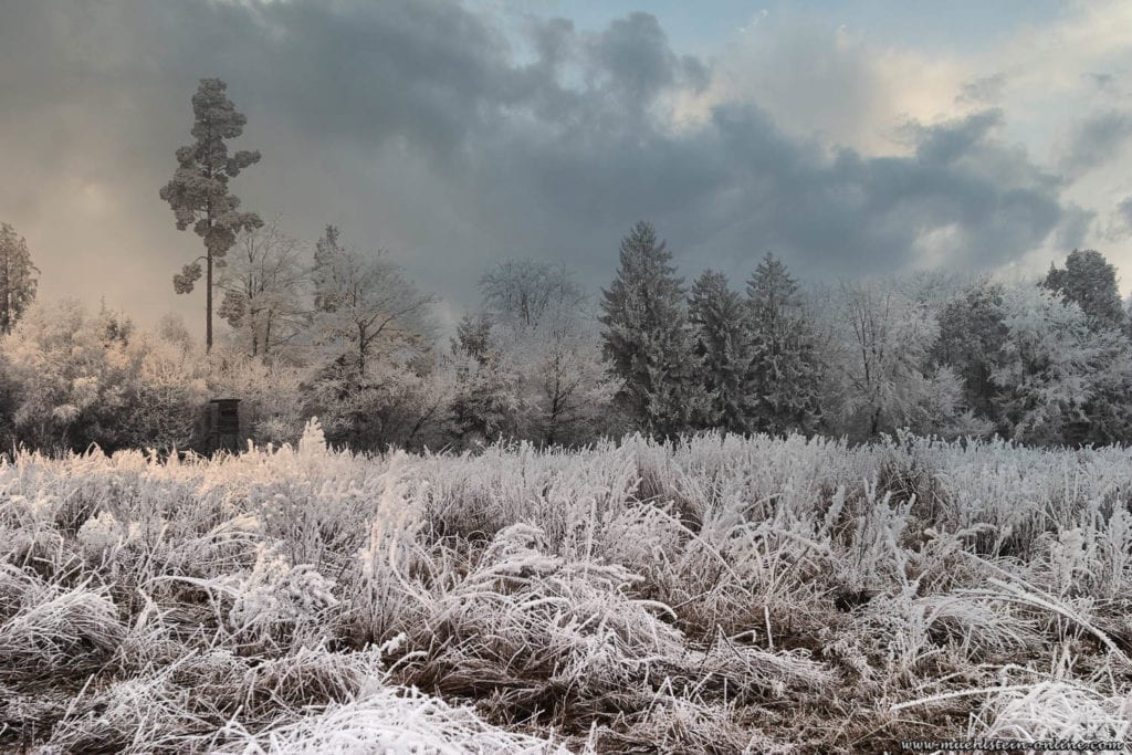 Landschaft mit Raureif