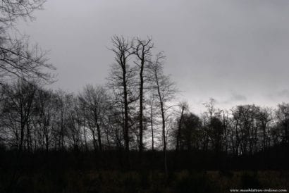 Störende Bildelemente