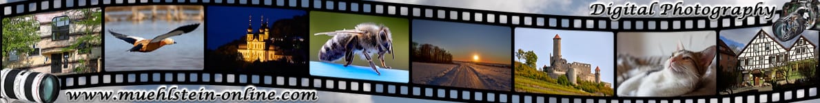 Digital Canon EOS Photography