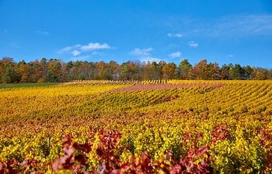 Herbstbilder und Herbstimpressionen