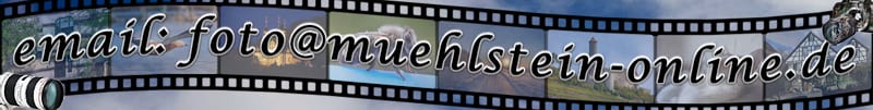 www.muehlstein-online.com